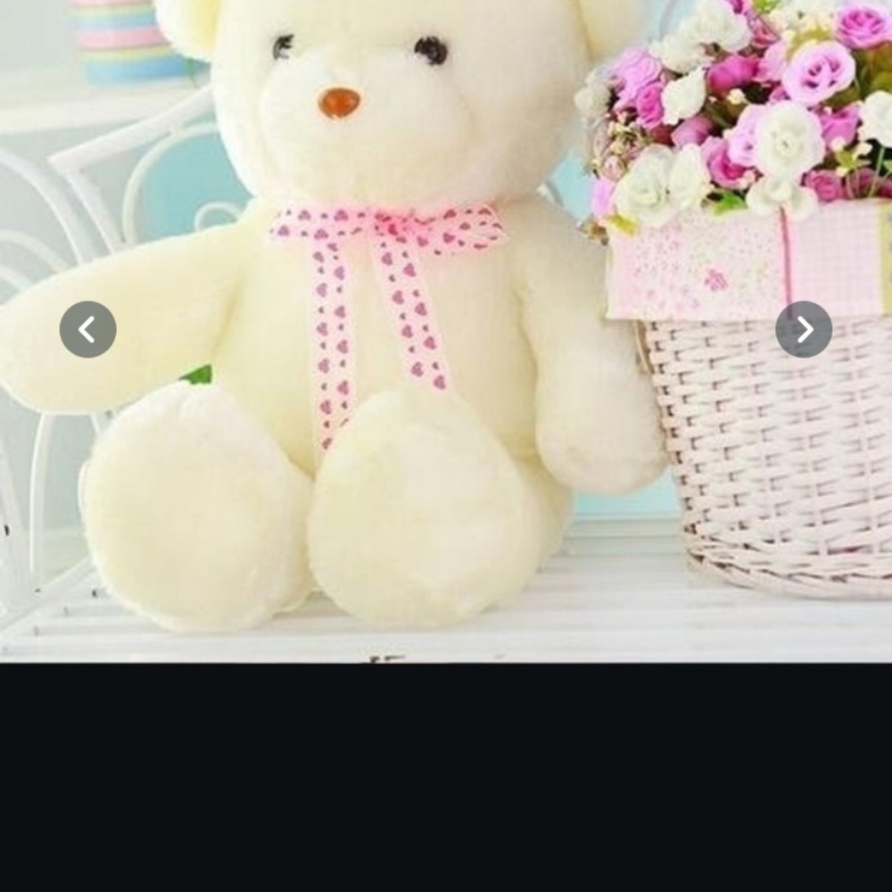 🧸Adorable plush LED TEDDY BEARS 🧸